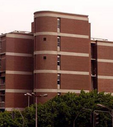 Abou El Reesh Japanese Hospital