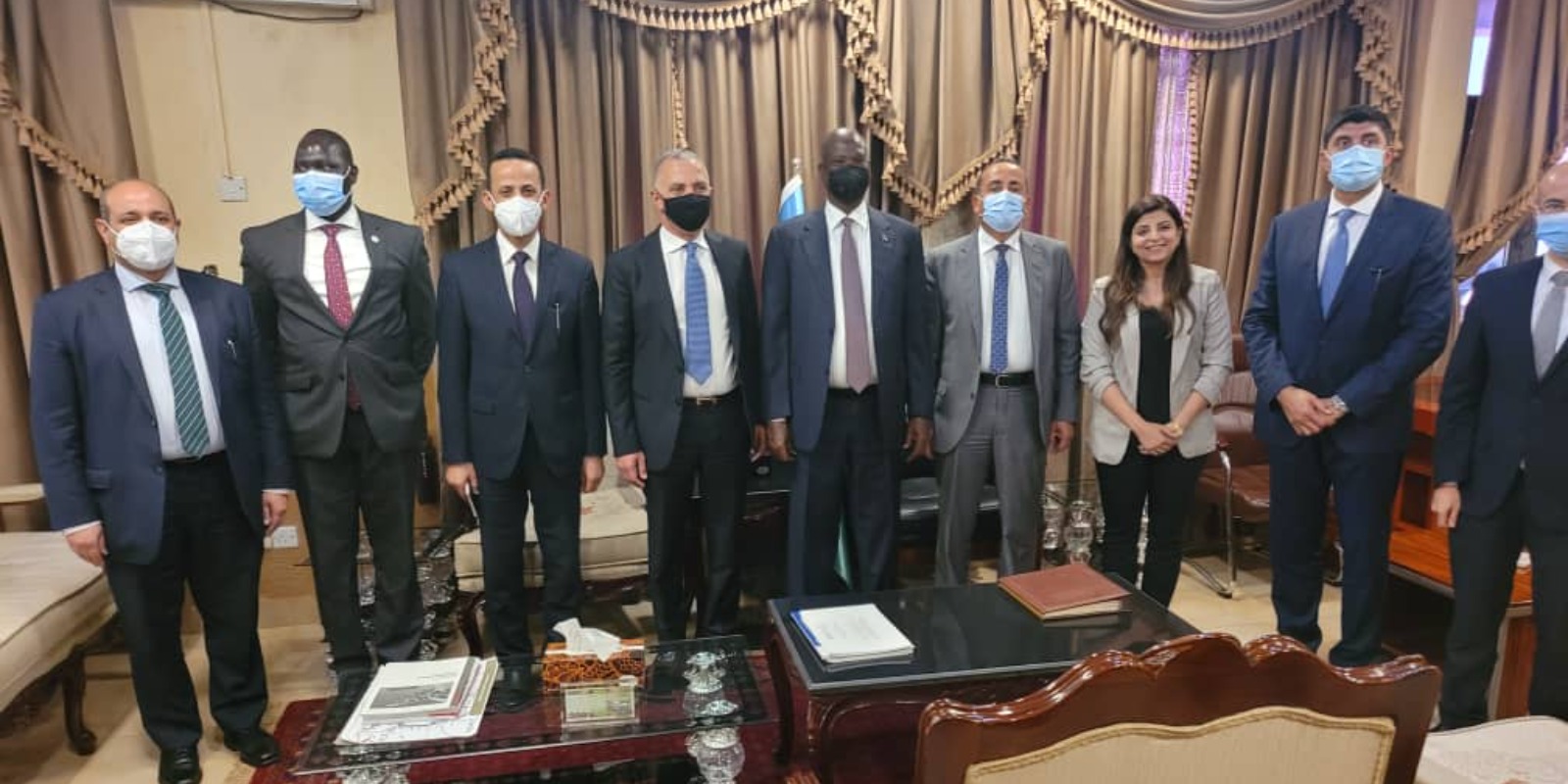 Elsewedy Electric explores opportunities in a meeting with South Sudan's President 