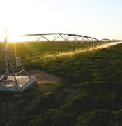 First Made-in-Egypt Irrigation Pivots in action at Toshka El Kheir, eyeing the export markets